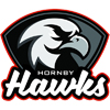 Hornby logo